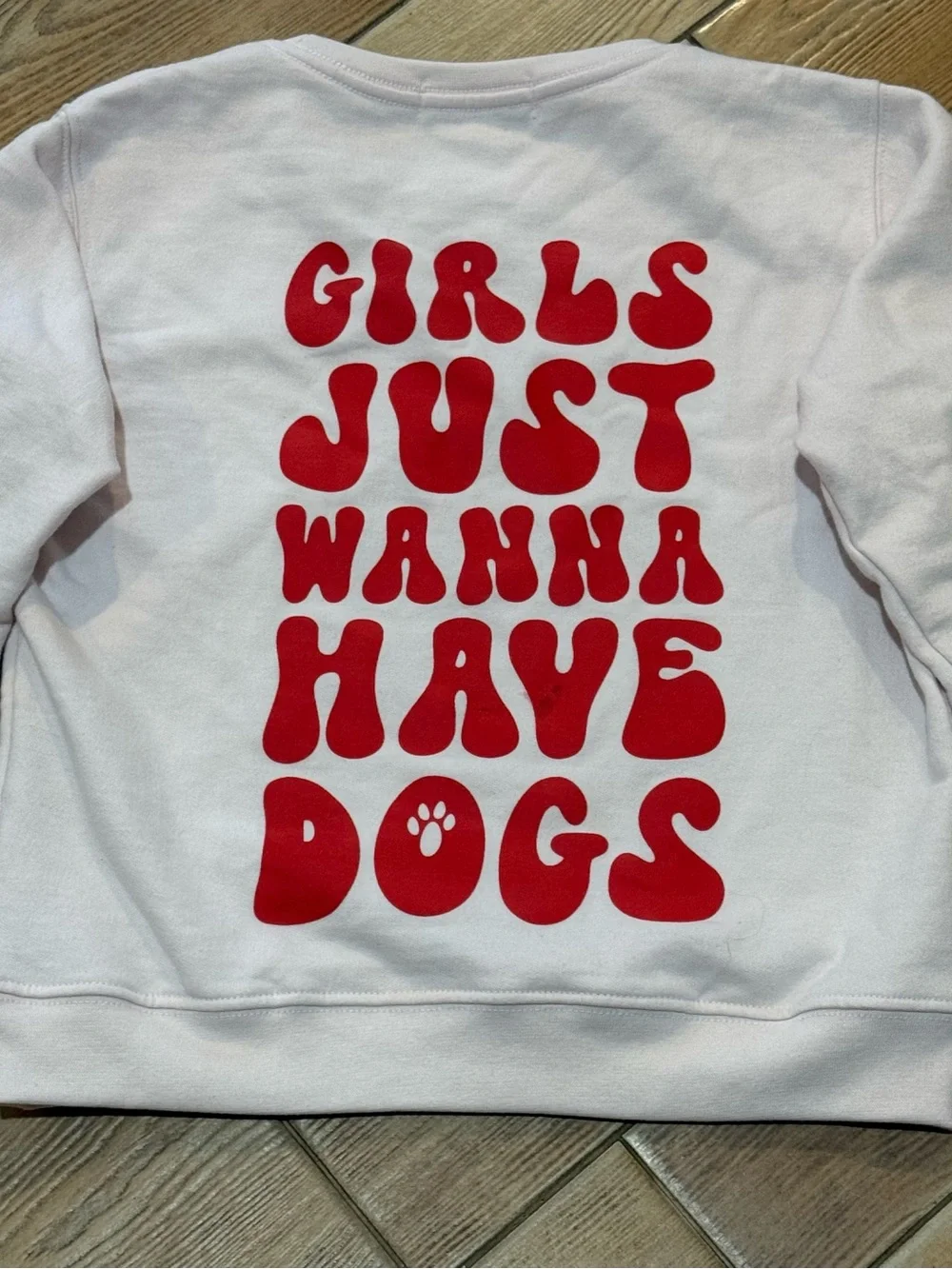 Suburban Riot Light Pink Sweatshirt with Phrase “Girls Just Wanna Have Dogs”